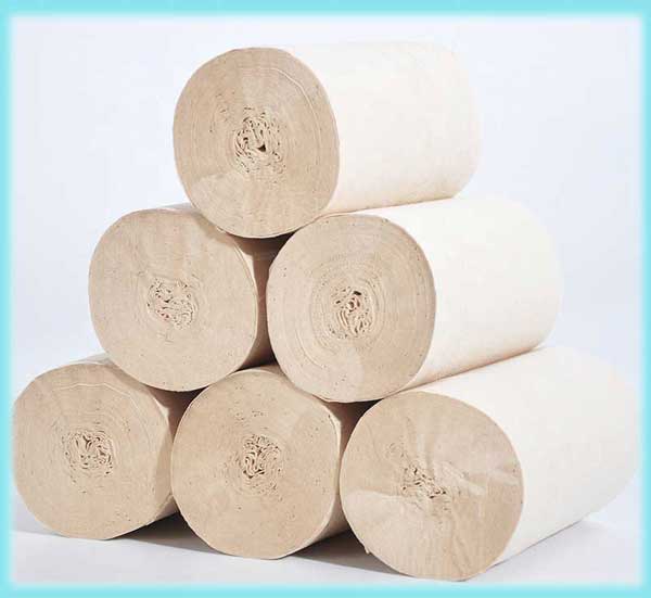 Unbleached Bamboo Pulp Toilet Paper(图2)