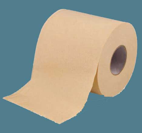  Toilet Paper Tissue For Bathroom (图2)
