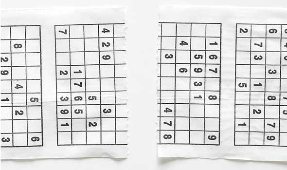YR Funny Sudoku Puzzles tissue Soft paper toilet paper roll.(图5)